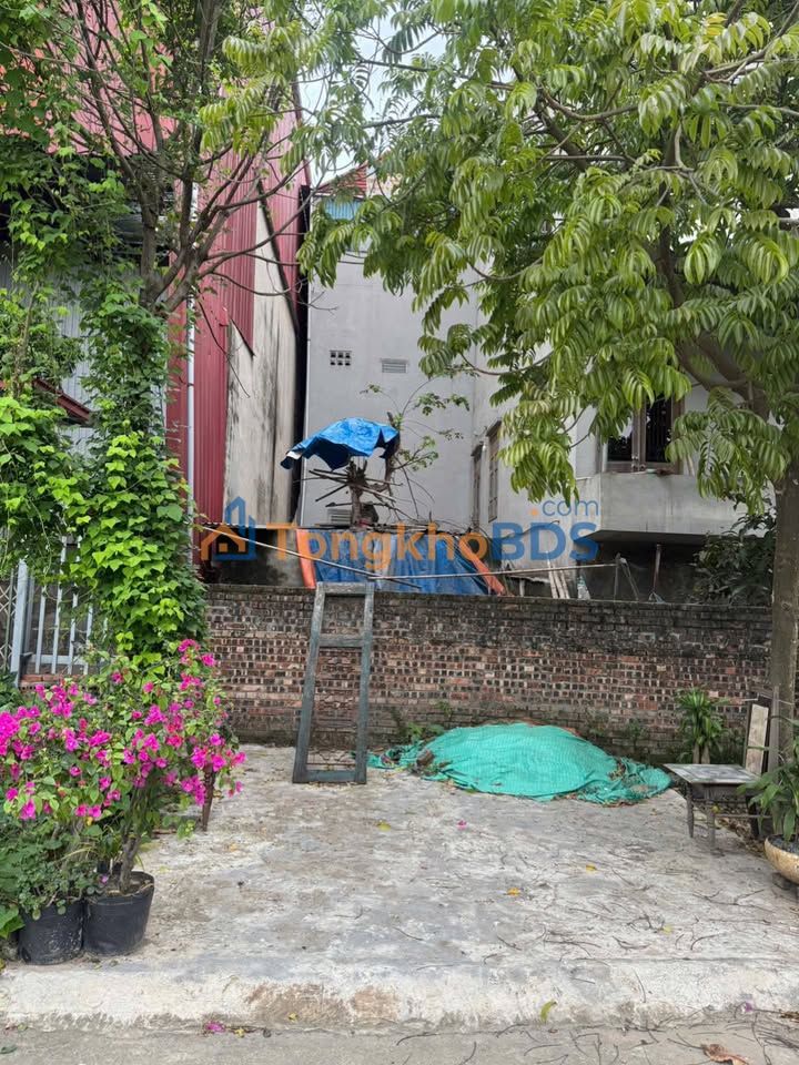 Đất nền Khu phố An Bình Tân Tiến 70m² giá 2.4 tỷ - Sổ đỏ chính chủ