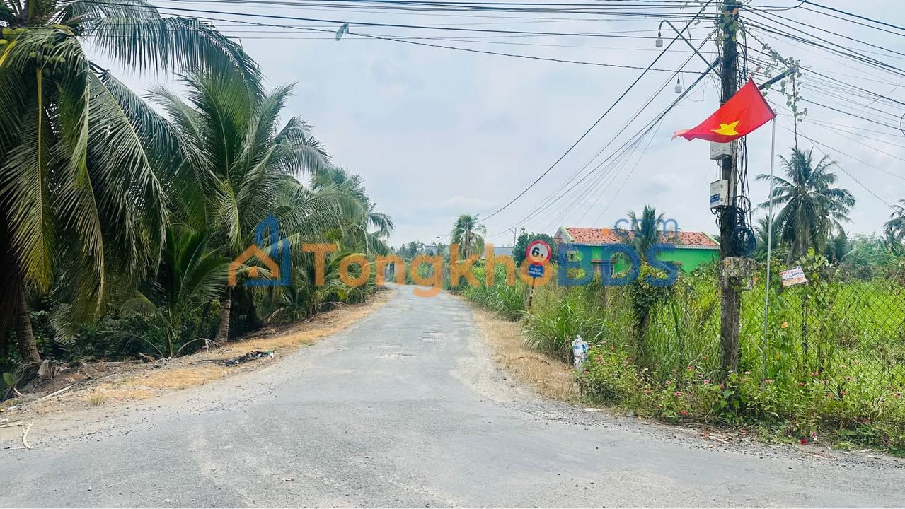 Đất nền Chợ Gạo 1.610m² 4.7 tỷ - Đường to ô tô