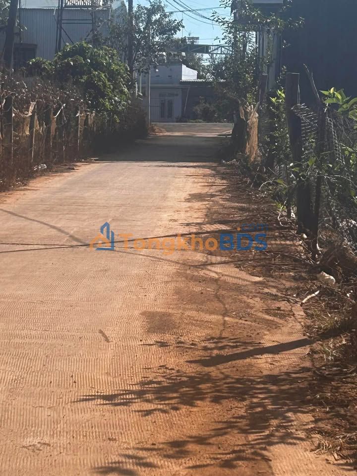 Đất nền Đà Lạt Tân Hội 1.000m² 2 tỷ - Tiềm năng tăng giá