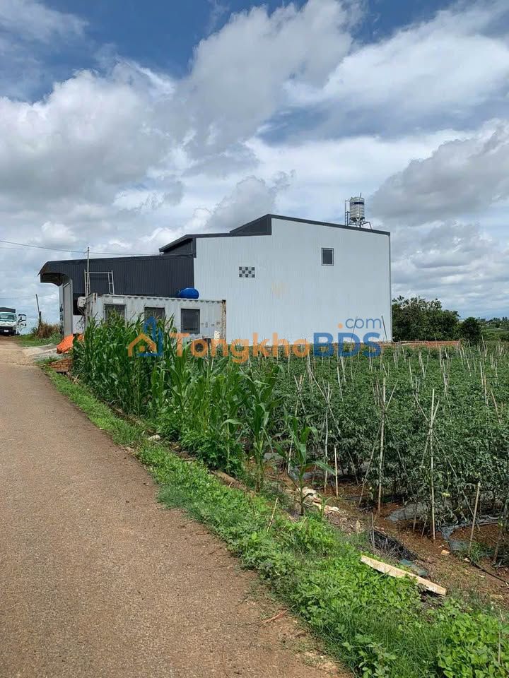 Đất N'Thol Hạ Đức Trọng 101m² 850 triệu - Sổ đỏ chính chủ