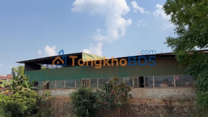 Đất TL682 Đắk Môl 831m² 4.7 tỷ - Đường to ô tô đón khách