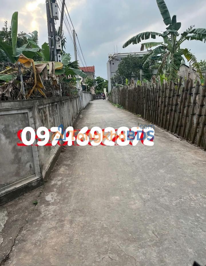 Đất Thanh Tân Thanh Hà 250m² nhỉnh tỷ - Xây dựng tự do