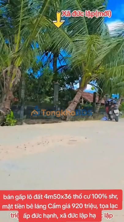 Đất Đức Hòa 153m2 920 triệu - Thổ cư 100% xây tự do