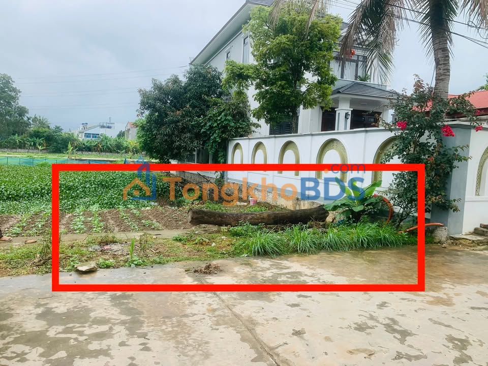 Đất nền Tỉnh lộ 517 Đông Sơn 138m² 1,2 tỷ - Sổ đỏ chính chủ