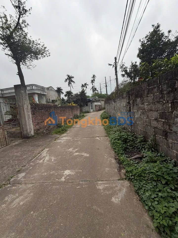 Đất nền Phú Xá Thái Nguyên 234m² - Đường to ô tô, tiềm năng tăng giá