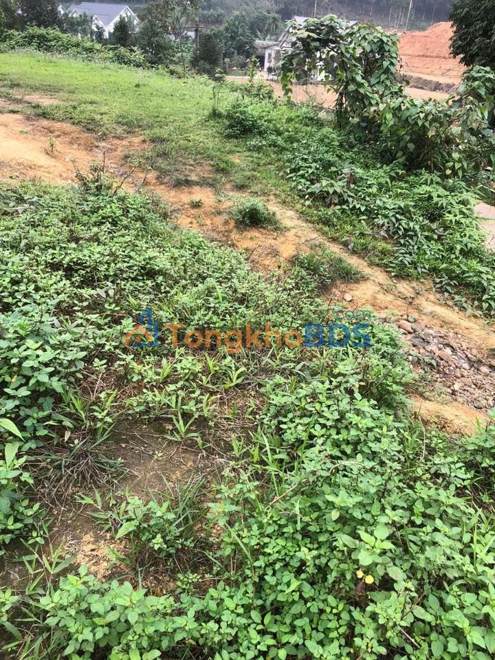 Bán Đất Vườn 873m² Mặt Tiền 20m, Trấn Yên, Yên Bái - Sẵn Sàng Lên Thổ Cư