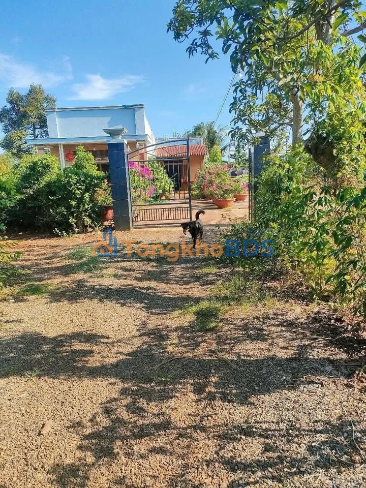 Đất Bình Ba Châu Đức 1.800m² 4.75 tỷ - Tiềm năng tăng giá