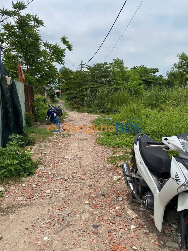 Đất vườn Tân Kiên Bình Chánh 4200m² 14.7 tỷ - Đầu tư dài hạn