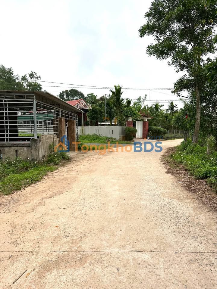 Land Hà Xá Đông Hà 175m² 4xx triệu - Sổ đỏ chính chủ, xây tự do