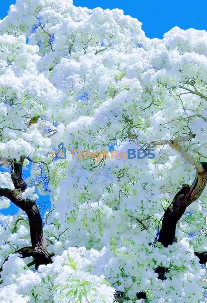 Đất nền Lý Nhân 76m² giá 2.8 tỷ - Sổ đỏ chính chủ