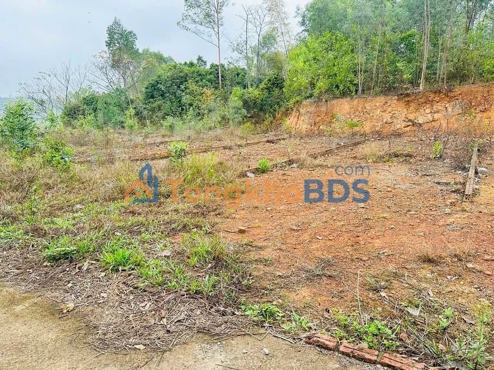 Đất Hoàng Văn Thụ Bắc Giang 110m² 400 triệu - Sổ đỏ chính chủ