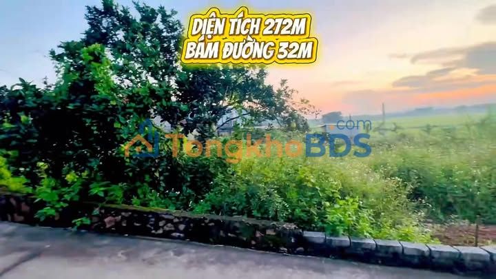Đất TL293 Yên Dũng 272m² giá thỏa thuận - Đường ô tô vào