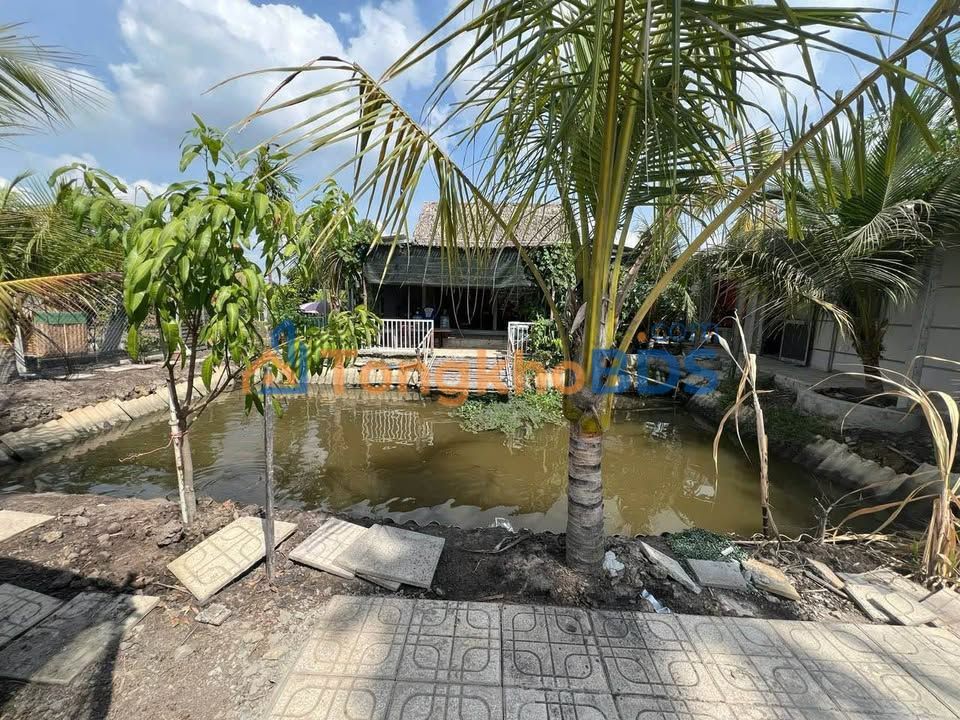 Nhà vườn Bình Mỹ Củ Chi 1000m2 6.8 tỷ - Ô tô vào tận nhà