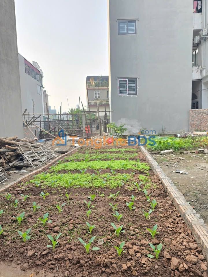 Nhà riêng Hữu Hòa 46m² 3.2 tỷ - Chính chủ bán