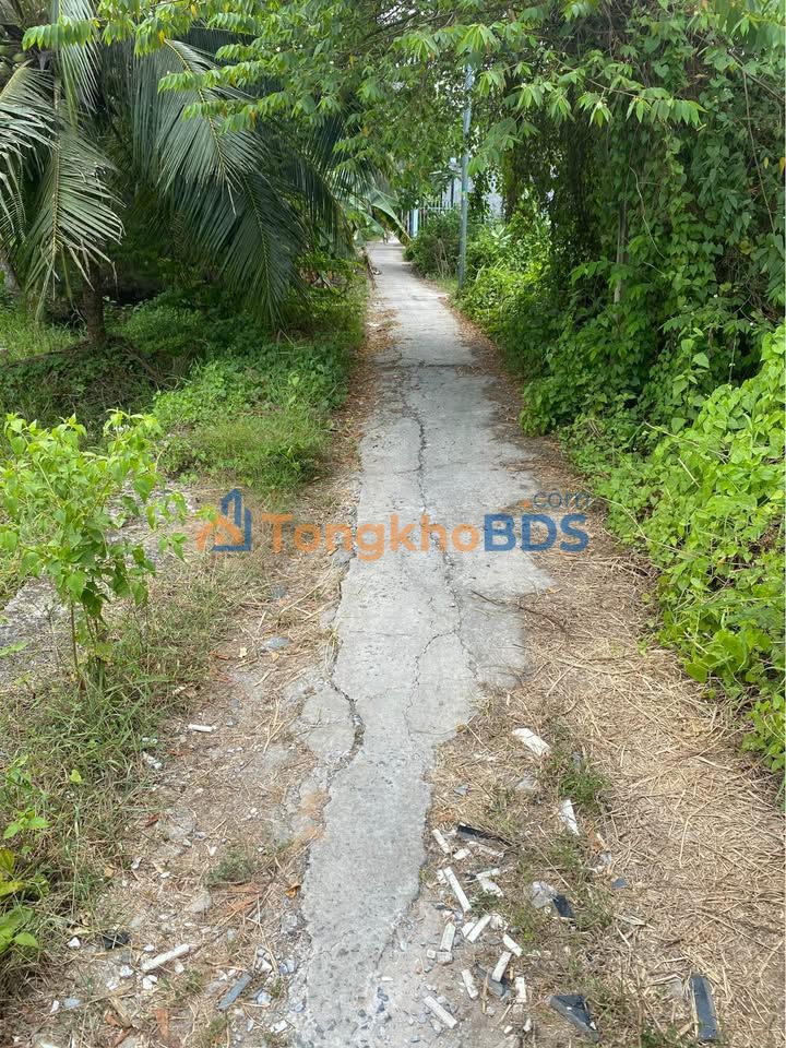 Đất nền Phú Hưng Bến Tre 300m² 450 triệu - Giá tốt hiếm có