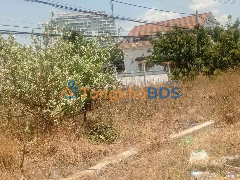 Đất nền Yên Ninh, Ninh Hải 120m² 6.6 tỷ - Sổ đỏ chính chủ