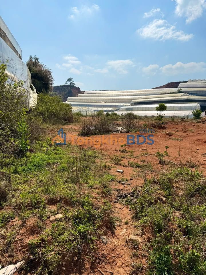 Đất vườn Lạc Dương 4.600m² 2,3 tỷ - Sổ đỏ chính chủ