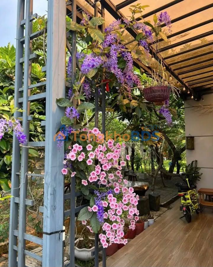 Đất nền Lộc Tân Bảo Lộc 3.240m² giá 2.2 tỷ - Đường to ô tô