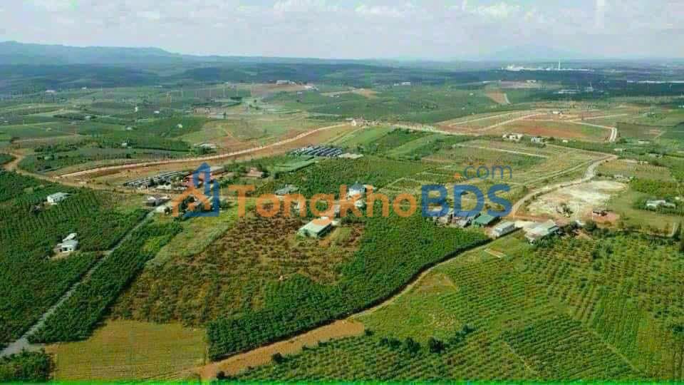 Đất nền Đức Linh 20.000m² giá 29 tỷ - Sổ đỏ chính chủ