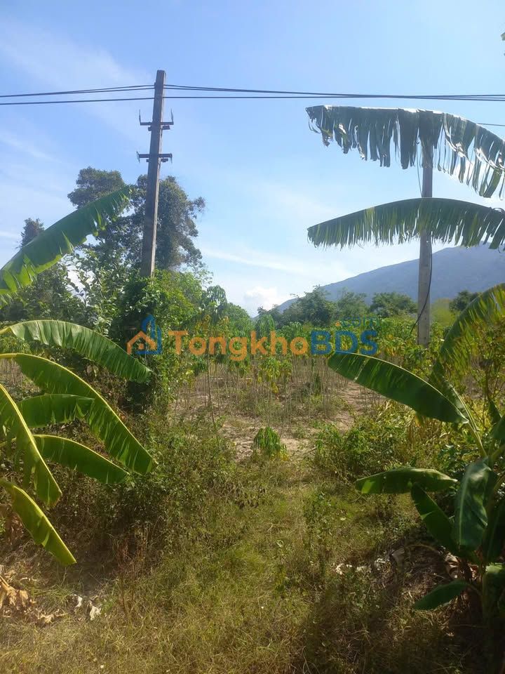 Đất nền Bác Ái Đông Khánh Hòa 3.185m² – Sổ hồng chính chủ