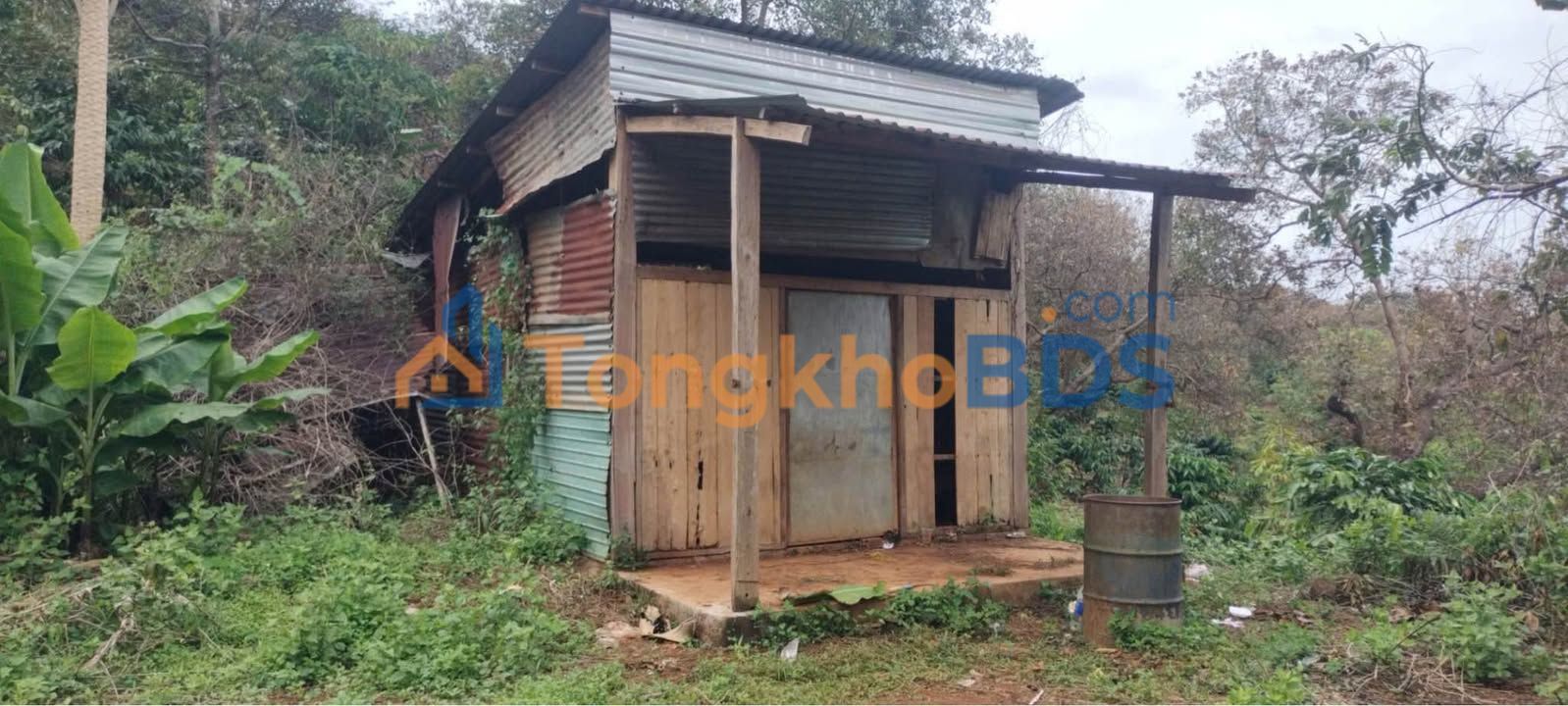 Farm Đắk Ru Quảng Tín 1ha 1.8 tỷ - Sổ đỏ chính chủ