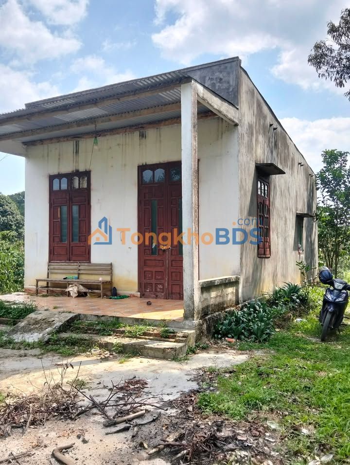 Đất nền Tân Lâm Di Linh 3024m² giá 3,36 tỷ - Sổ đỏ chính chủ