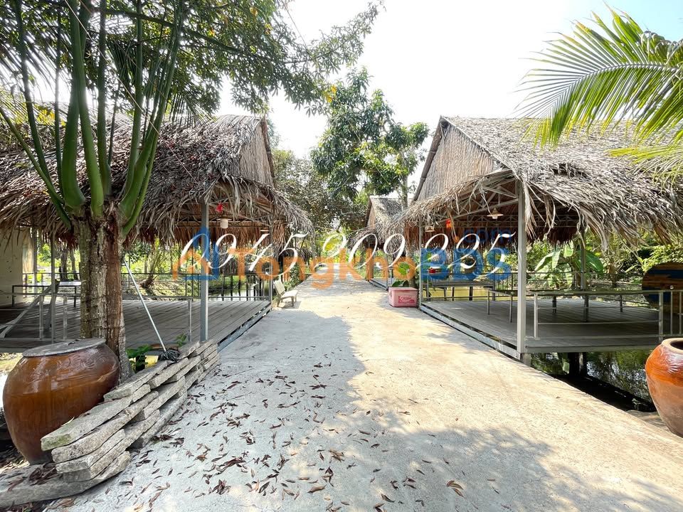 Mặt bằng TL943 Mỹ Hòa 2600m² 15 triệu - Mặt tiền kinh doanh