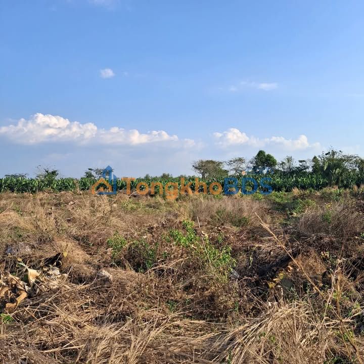 Đất trống cho thuê Thanh Sơn Định Quán 5ha - Sinh thái xanh