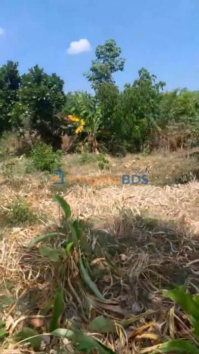 Đất nền Ấp 6 Phú Thịnh 3,2ha 14,4 tỷ - Đường ô tô tải lớn