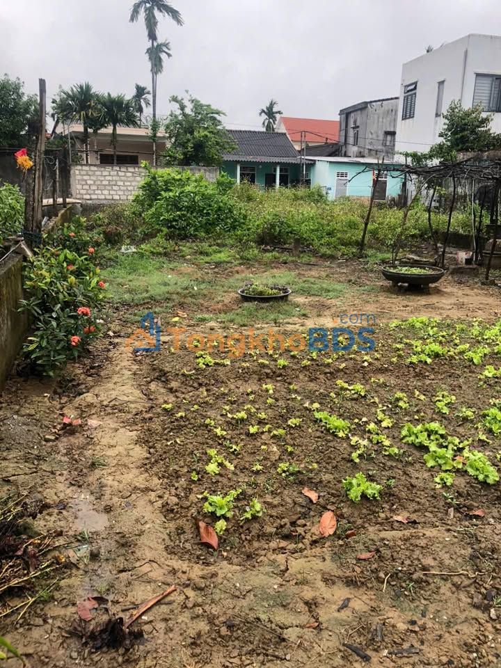 Đất Kiệt 7 Chiết Bi Huế 118m² 1,2958 tỷ - Sổ đỏ chính chủ