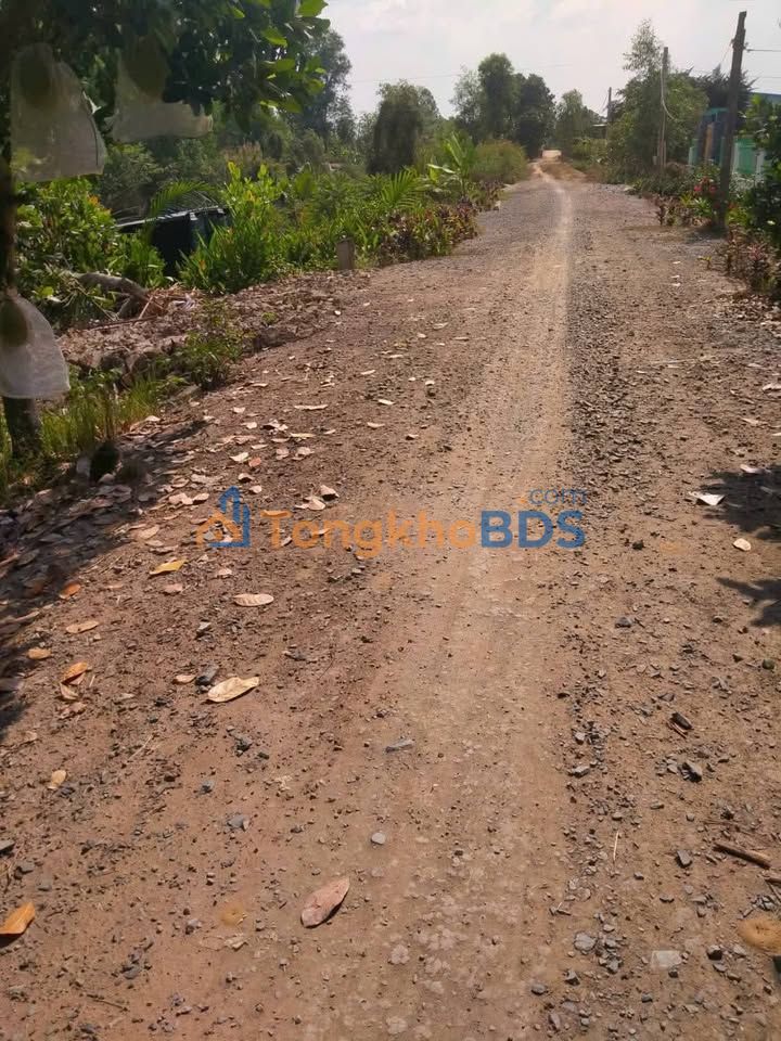 Đất nền Phước Lập Tân Phước 6000m² 1.6 tỷ - Ô tô vào tận đất