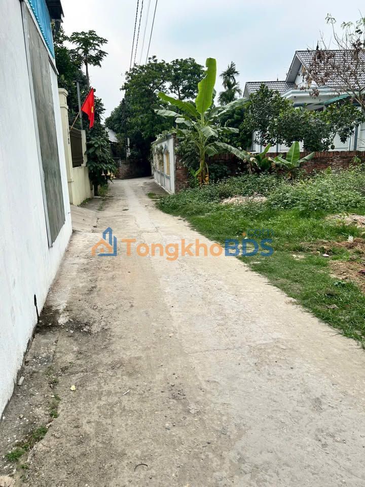 Đất nền Thôn Giữa Tam Dương 98m² 7xx triệu - Sổ đỏ chính chủ