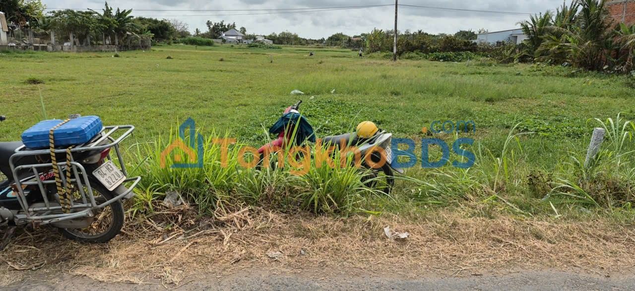 Đất cây lâu năm Khóm Bến Chuối 210m² 500tr - Đầu tư dài hạn