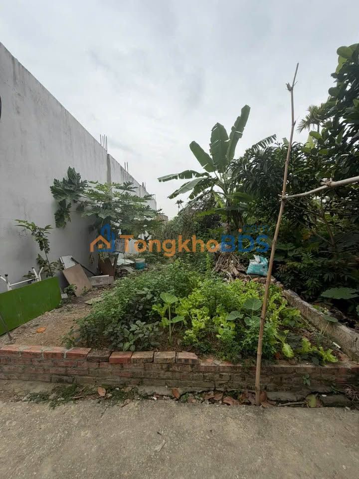 Đất nền Hồng Thái An Dương 60m² giá 990 triệu - Sổ đỏ chính chủ