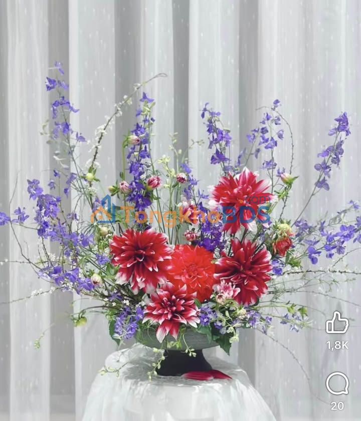 Không thể hoàn tất nội dung