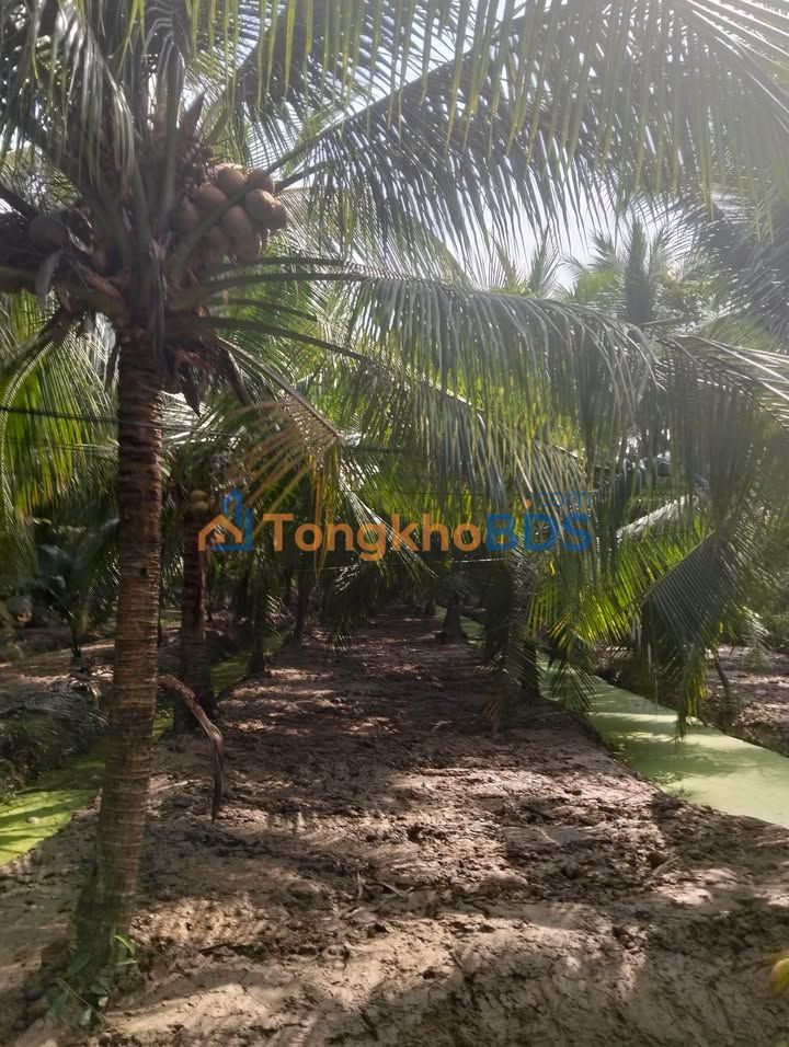 Đất nền Bình Thành 3000m² 360 triệu - Đầu tư dài hạn