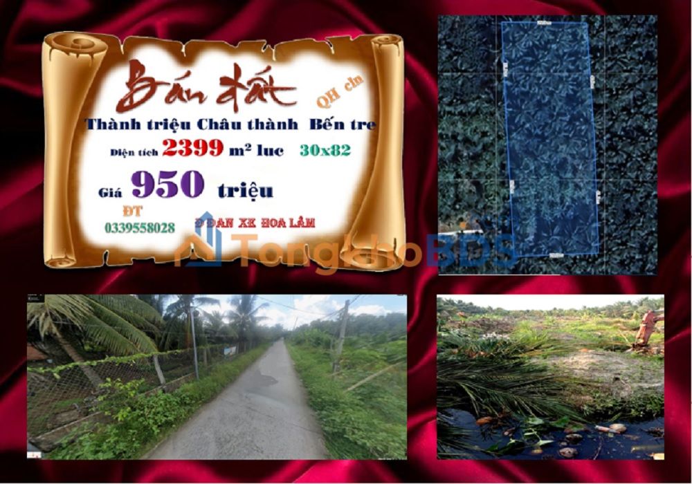 Đất Tường Đa Châu Thành 2399m² 950 triệu - Sổ đỏ chính chủ