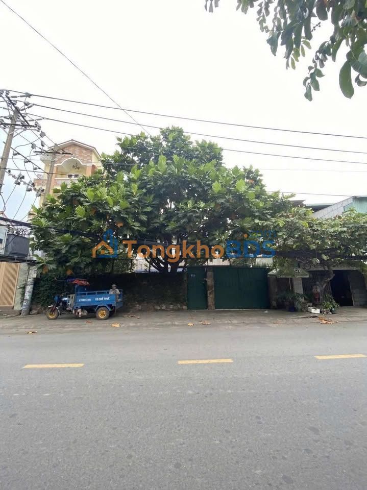 FrontHouse Bình Thạnh 469m2 95 tỷ - Mặt tiền kinh doanh