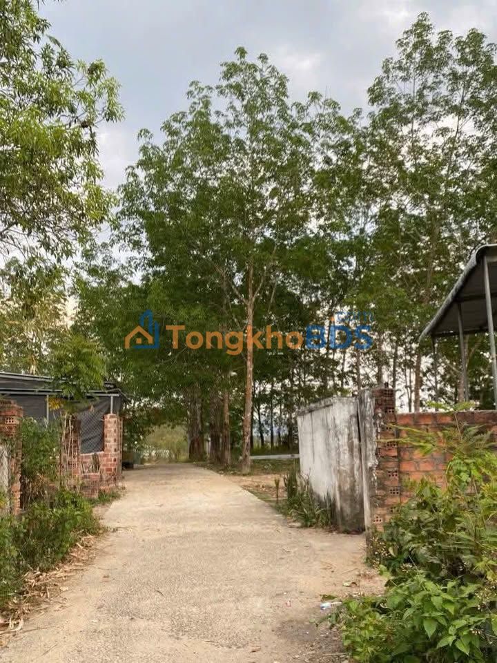 Đất nền Kon Tum Nguyễn Trãi 205m² 200 triệu - Sổ đỏ chính chủ