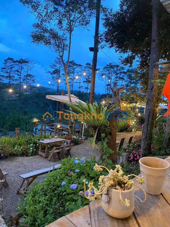 Đất nền Kon Tum Vinh Quang 5.000m² - Đường to ô tô