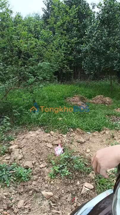 Đất Tu Vũ Thanh Thủy 330m² 1 tỷ - Sổ đỏ chính chủ, ô tô vào