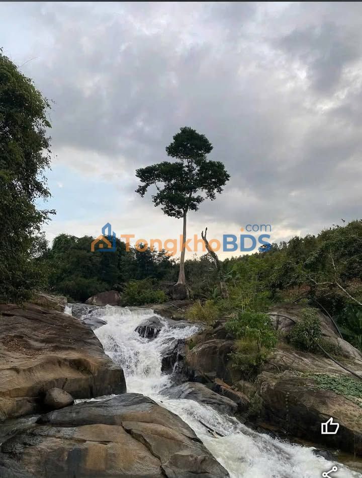 Nhà riêng Phường 3 Đà Lạt 500m² 1.2 tỷ - Chính chủ bán