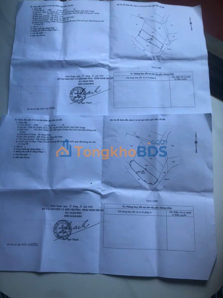 Đất An Thạnh Ninh Phước 1.902m² 1.3 tỷ - Tiềm năng tăng giá