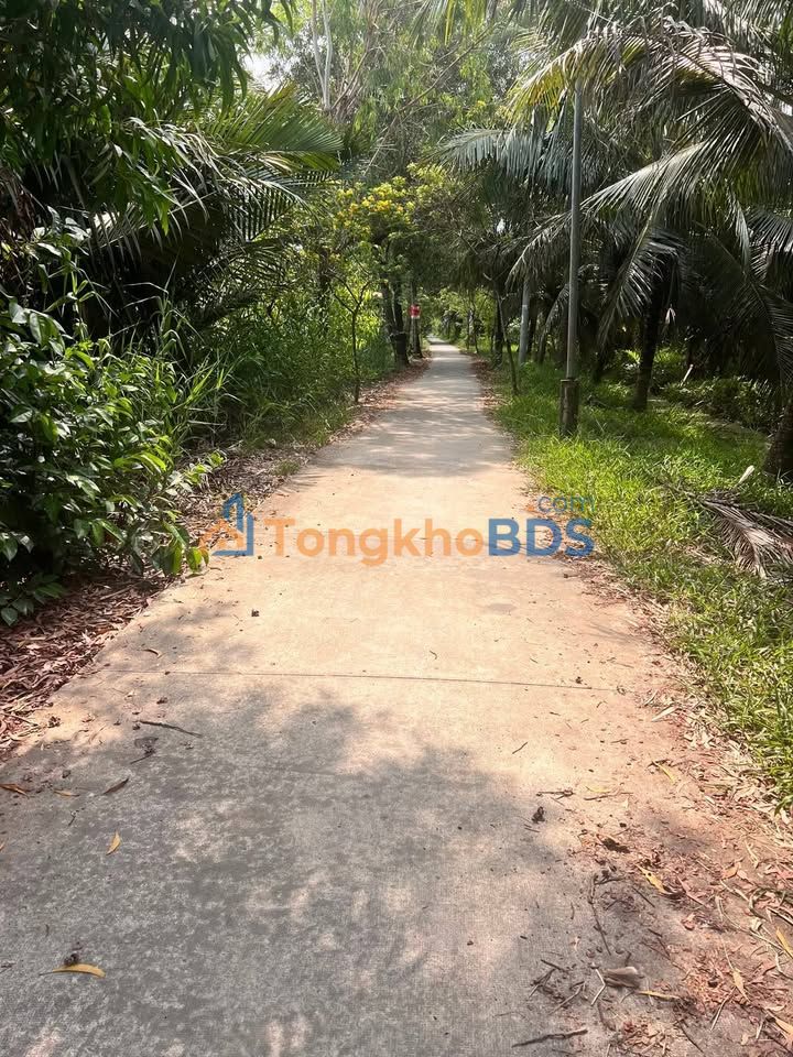 Đất nền Long Định Bình Đại 620m² 2.95 tỷ - Sổ đỏ chính chủ