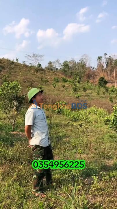 Vườn cam Nà Hỳ 2ha 1,4 tỷ - Sổ hồng rõ ràng, đầu tư dài hạn