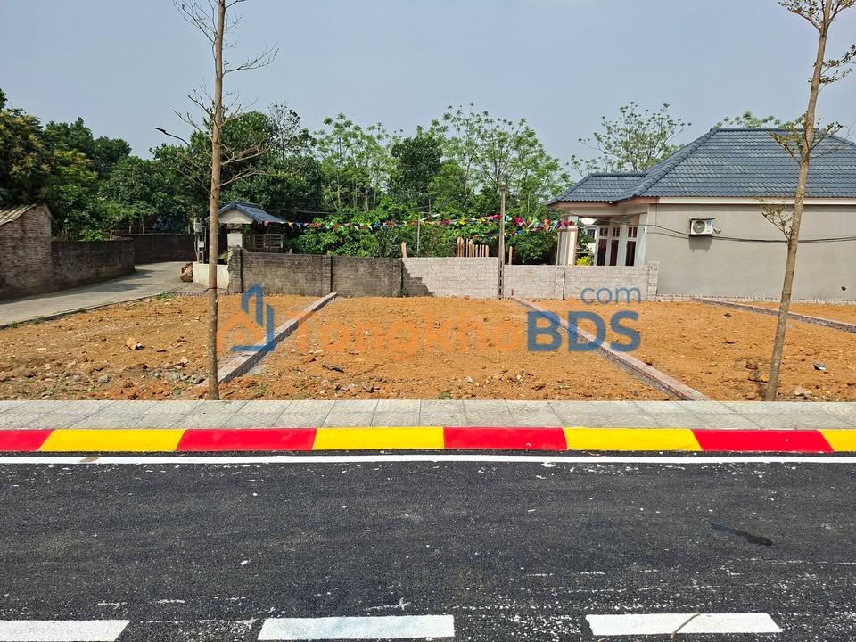 Đất nền Cổ Đông Sơn Tây 100m² giá 2 tỷ - Sổ đỏ