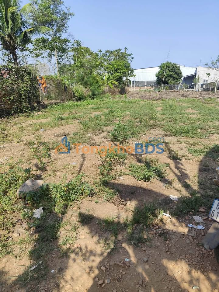 Đất nền Gia Canh Định Quán 246m² - Sổ đỏ chính chủ