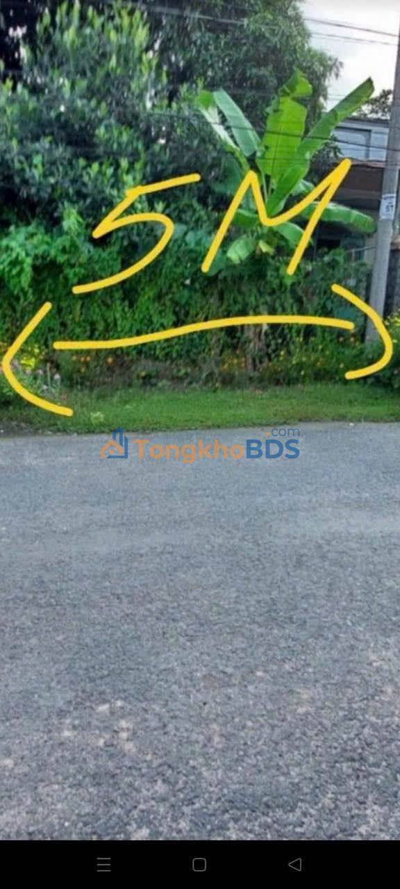 Đất nền Đường 11 Đức Hòa 140m² 1.15 tỷ - Pháp lý rõ ràng