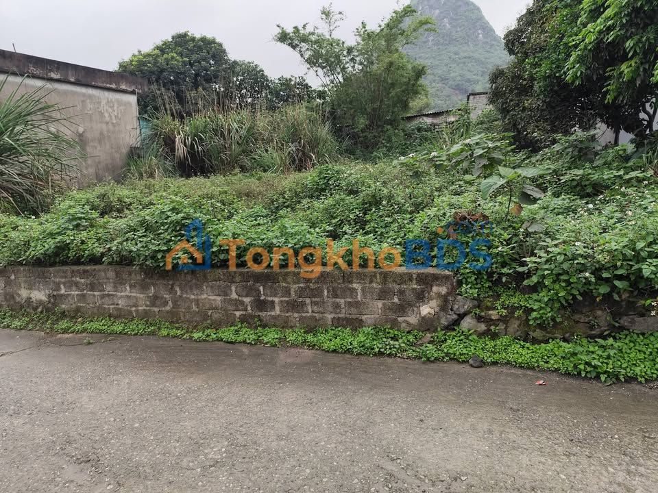 Đất nền Hồng Sơn Thanh Sơn 170m² 800-899tr - Tiềm năng tăng giá