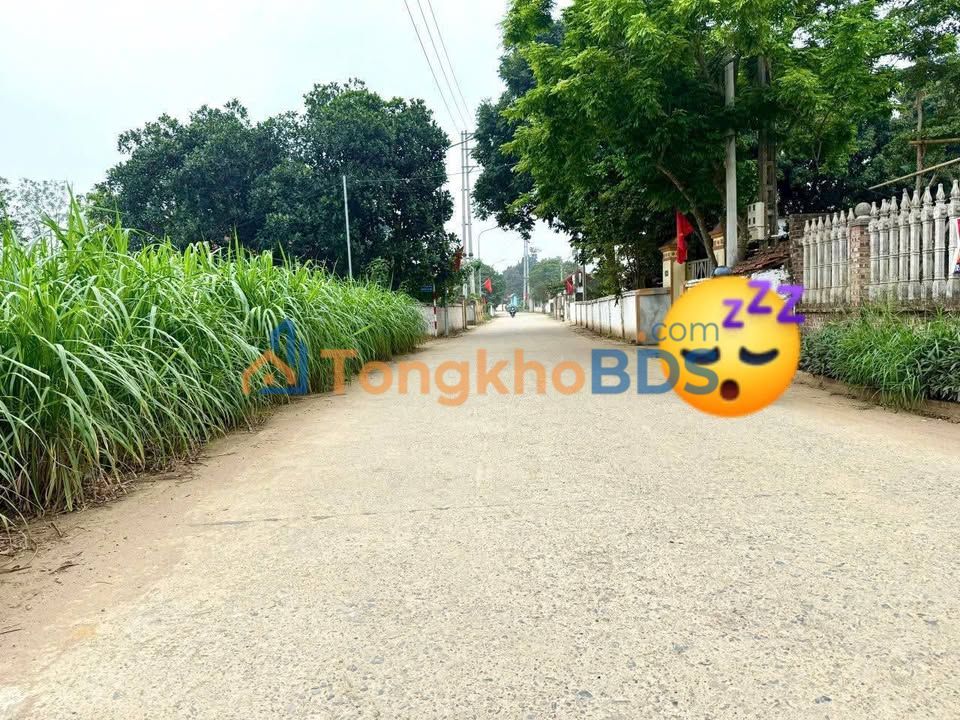 Đất nền Yên Bài Ba Vì 740m² 4.44 tỷ - Giá F0 CĐT sinh lời